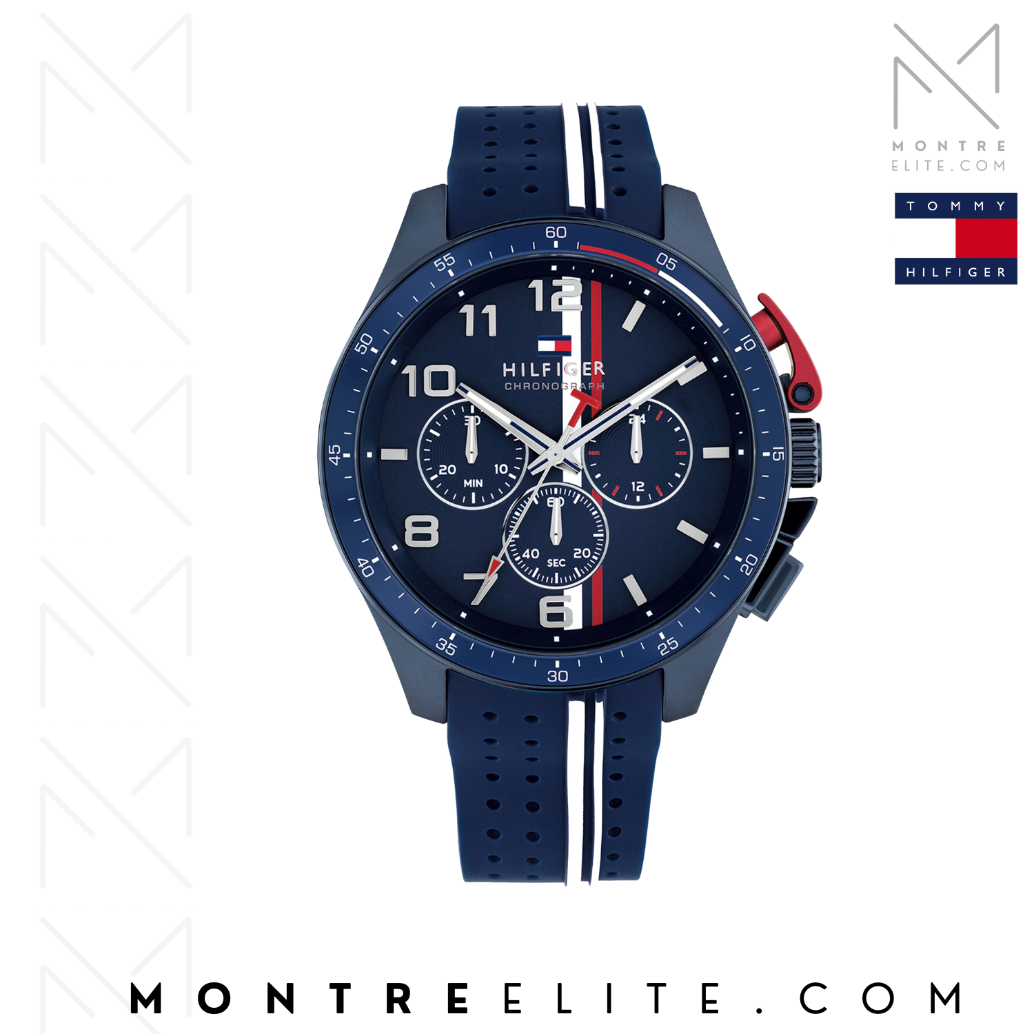 Montre Homme Tommy Hilfiger Bank TH1792169