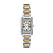 Montre  Emporio Armani pour femme AR11642