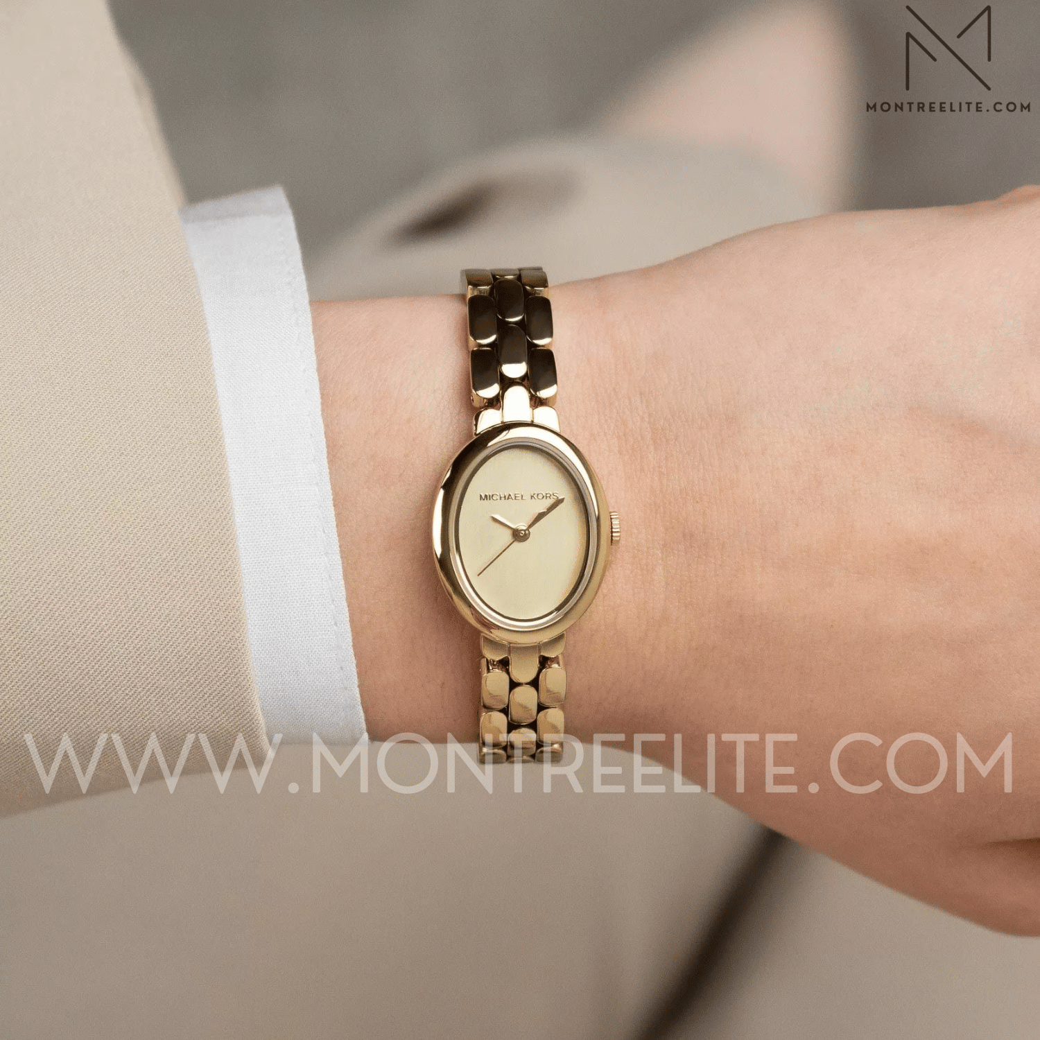 Montre Femme Michael Kors Petite Maude MK4955