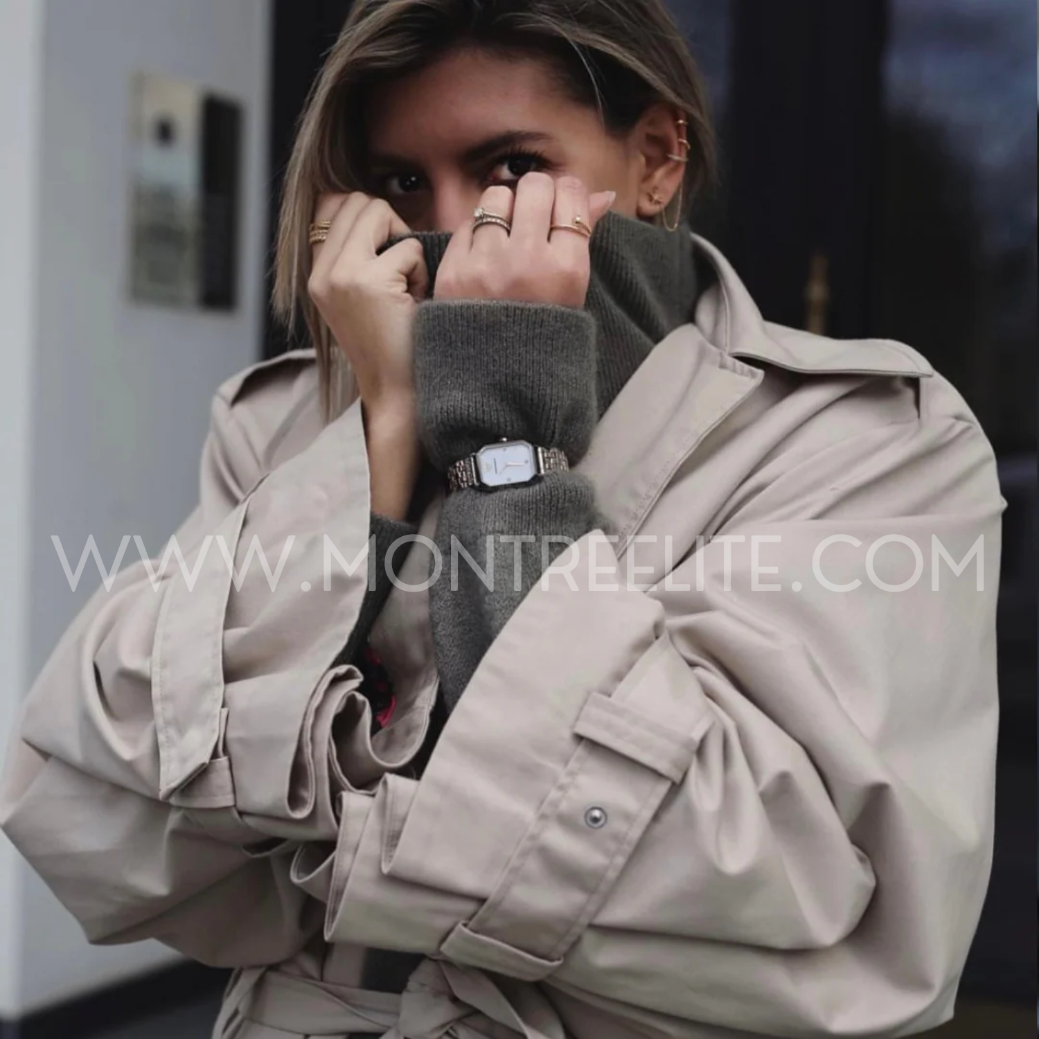 Montre EMPORIO ARMANI Pour Femme, Giola Crystal AR11146