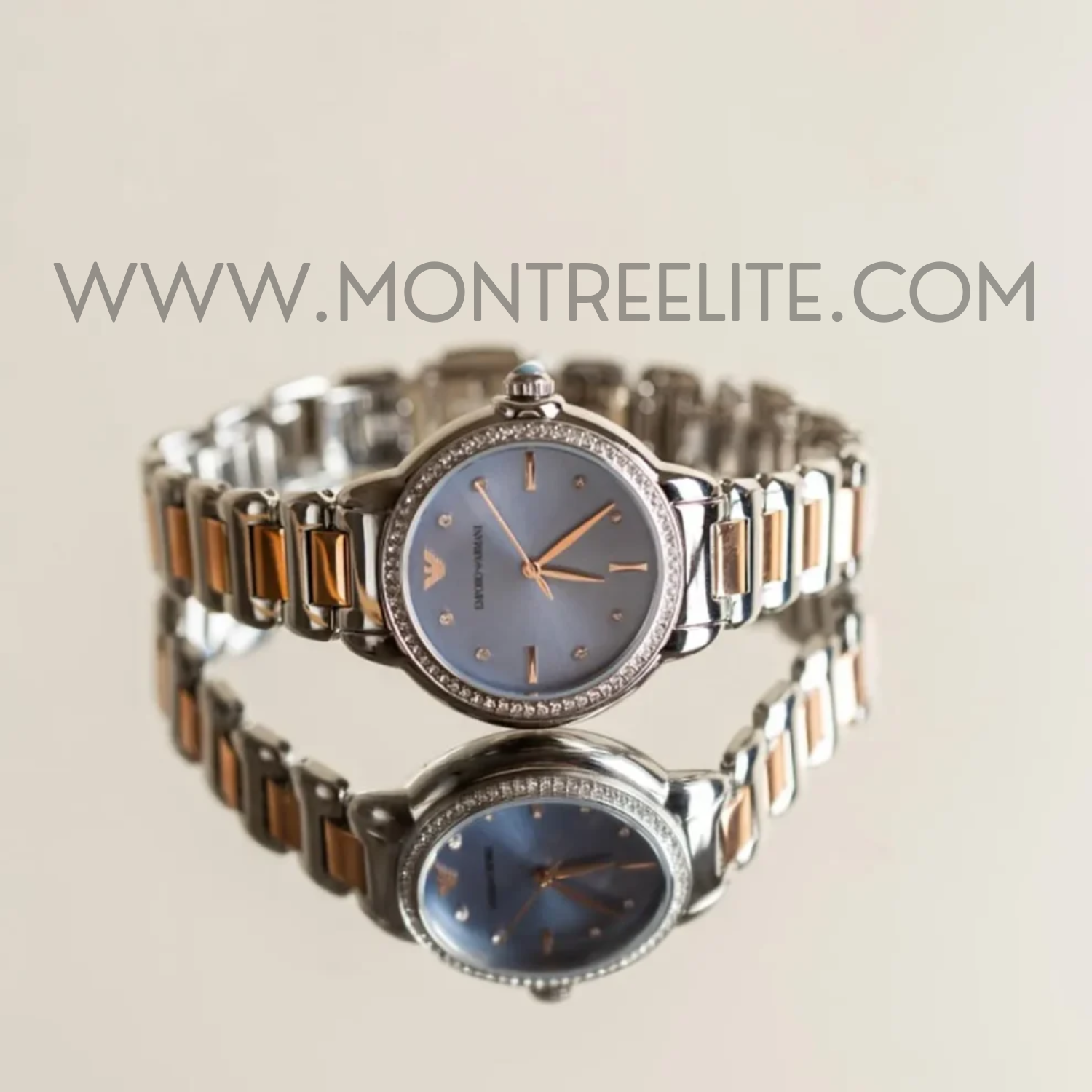 Montre Emporio Armani pour femme Ar11597