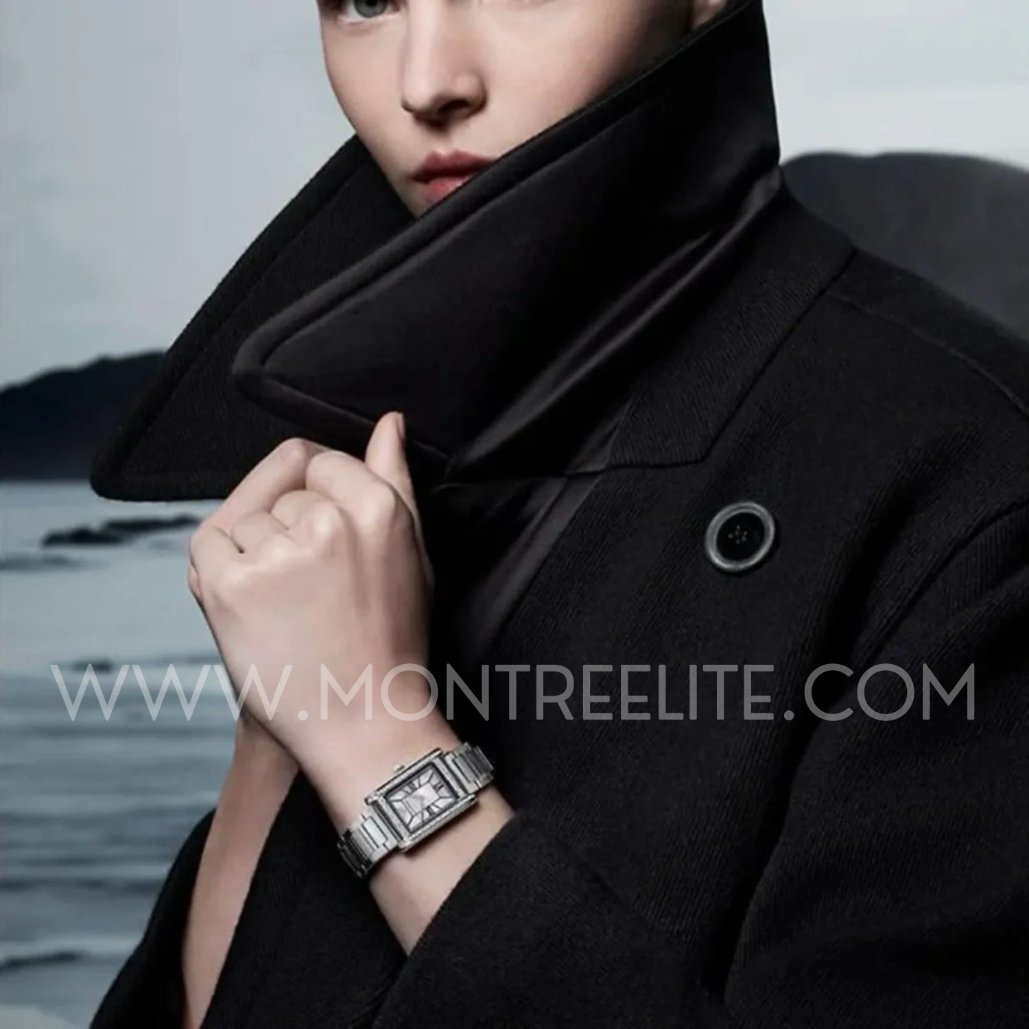 Montre EMPORIO ARMANI Pour Femme, AR11625