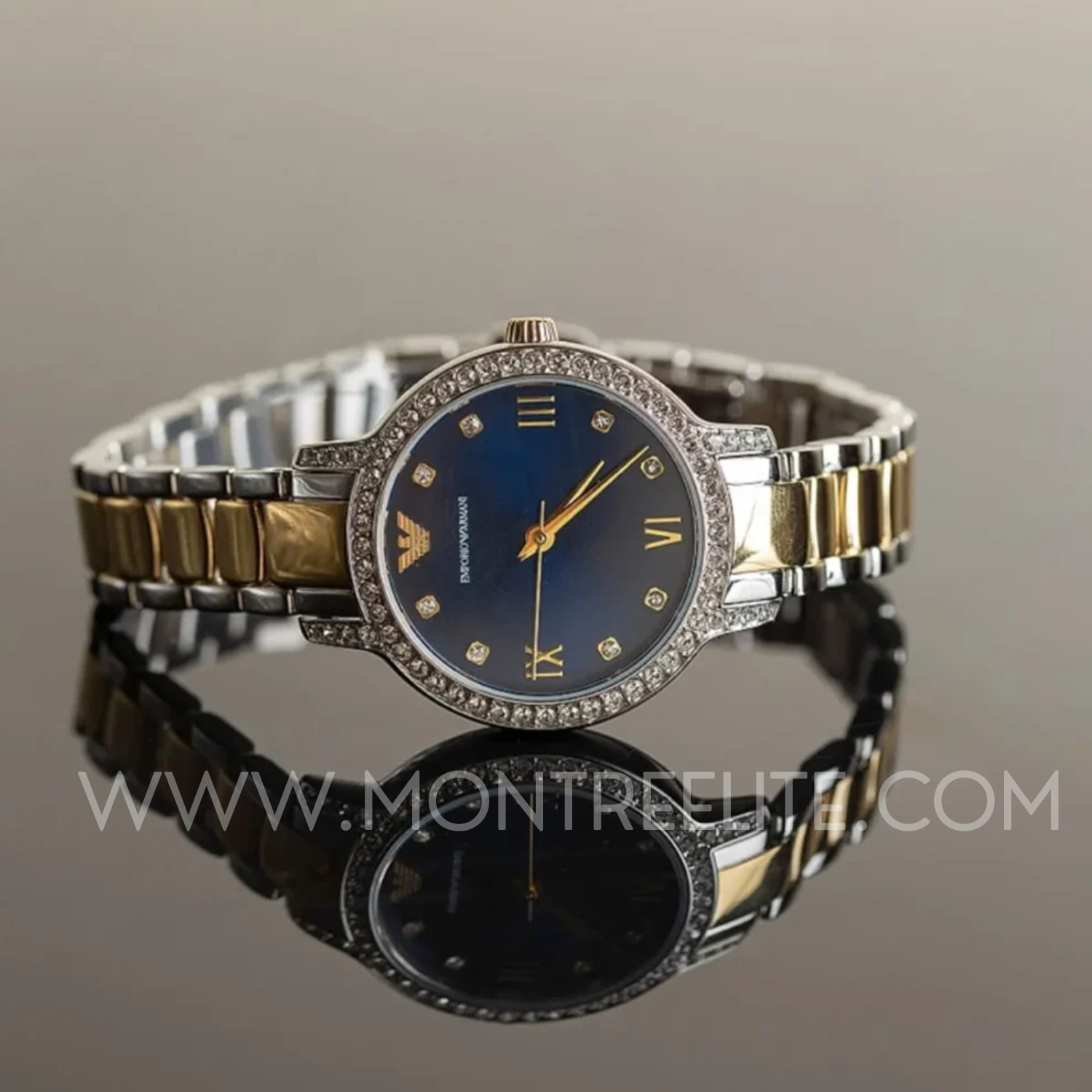 Montre EMPORIO ARMANI Pour Femme, AR11576