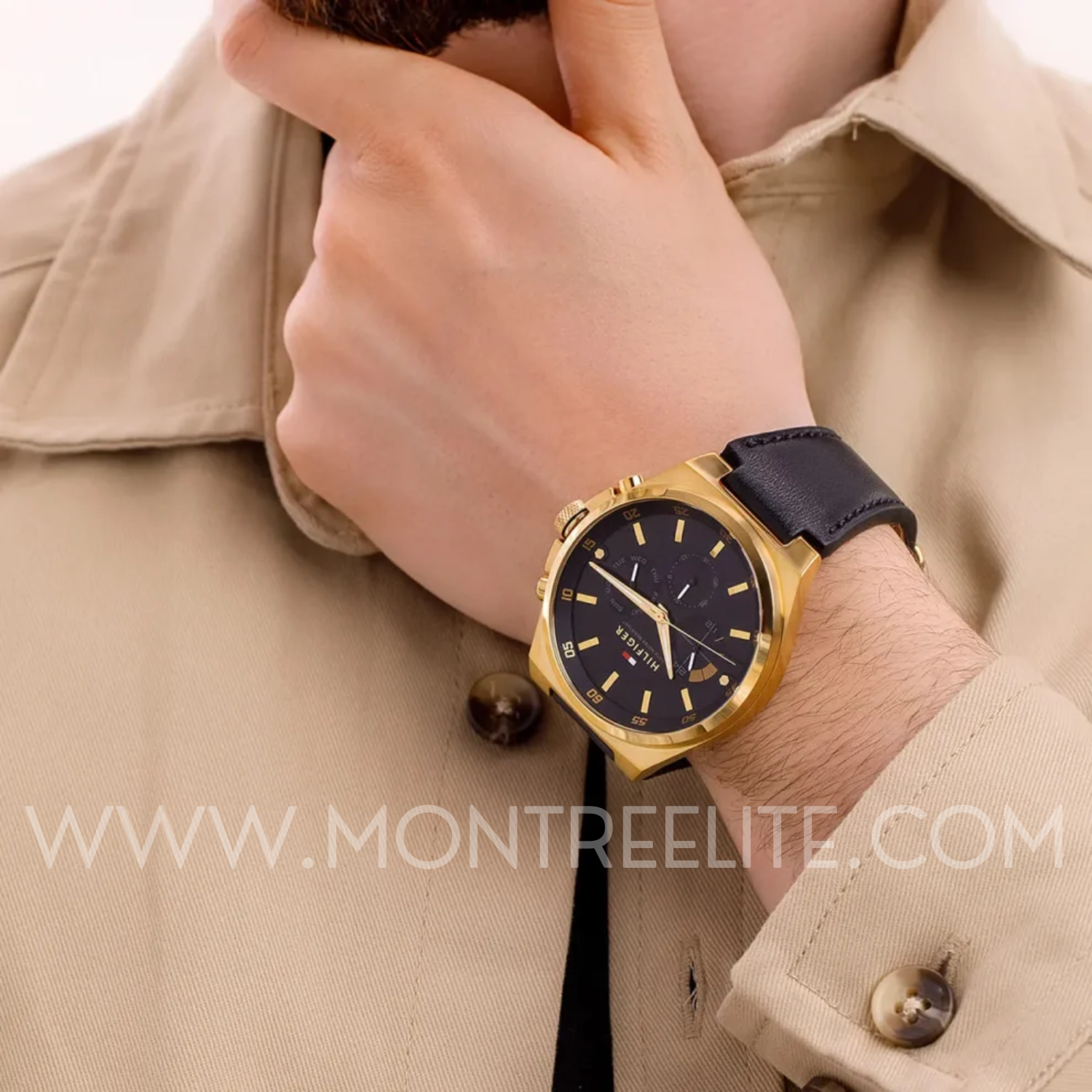 Montre Homme Tommy Hilfiger Dexter 1792086