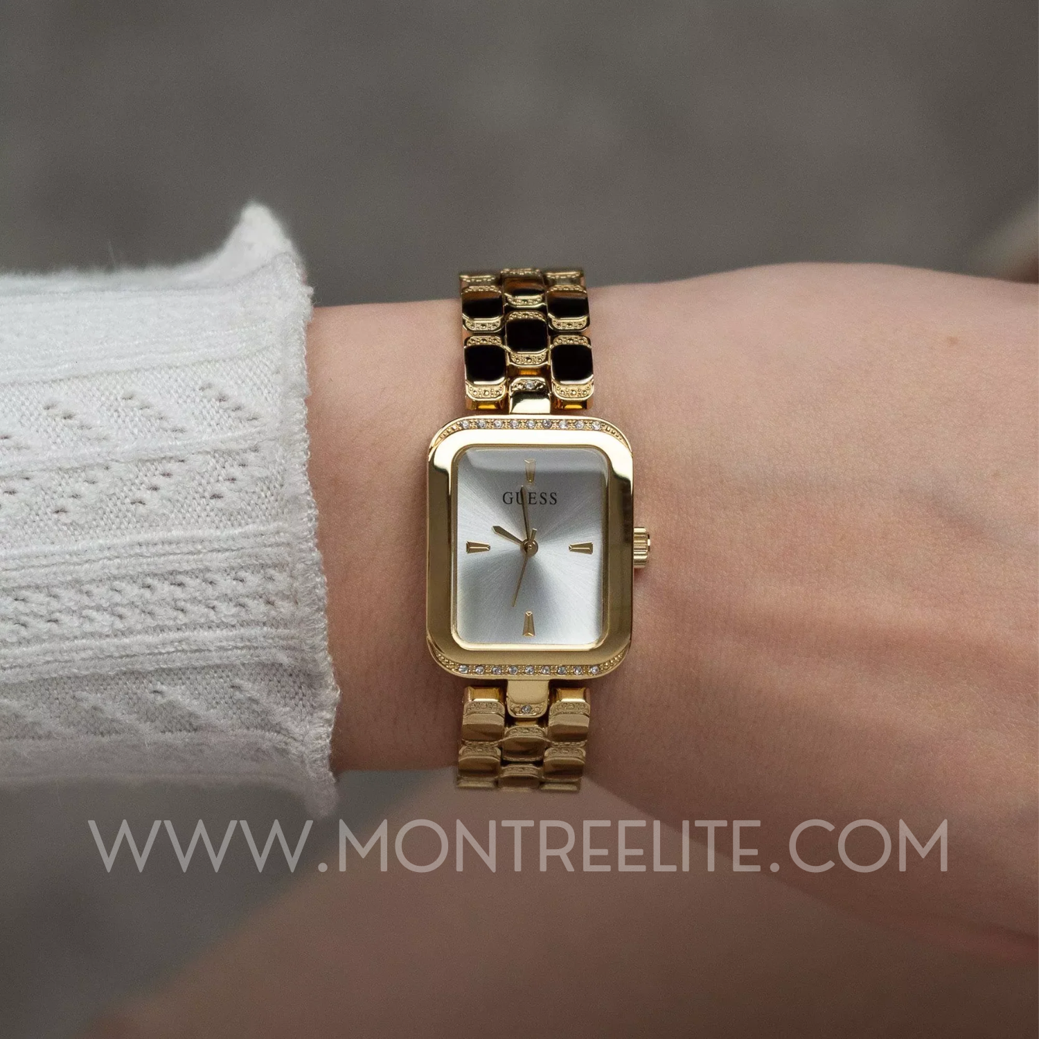 Montre Femme Guess Isla GW0865L2