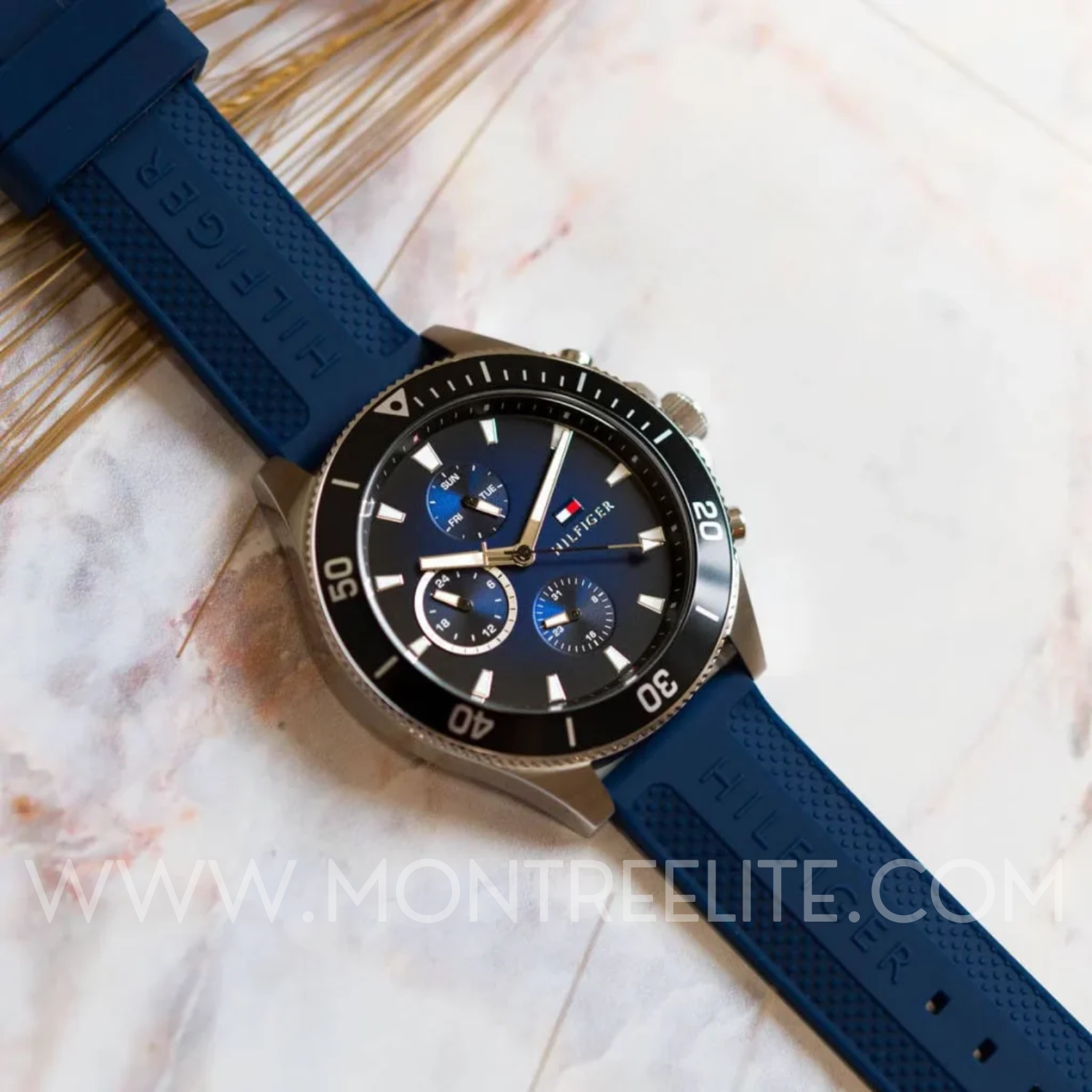 Montre Homme Tommy Hilfiger Mason 1791920