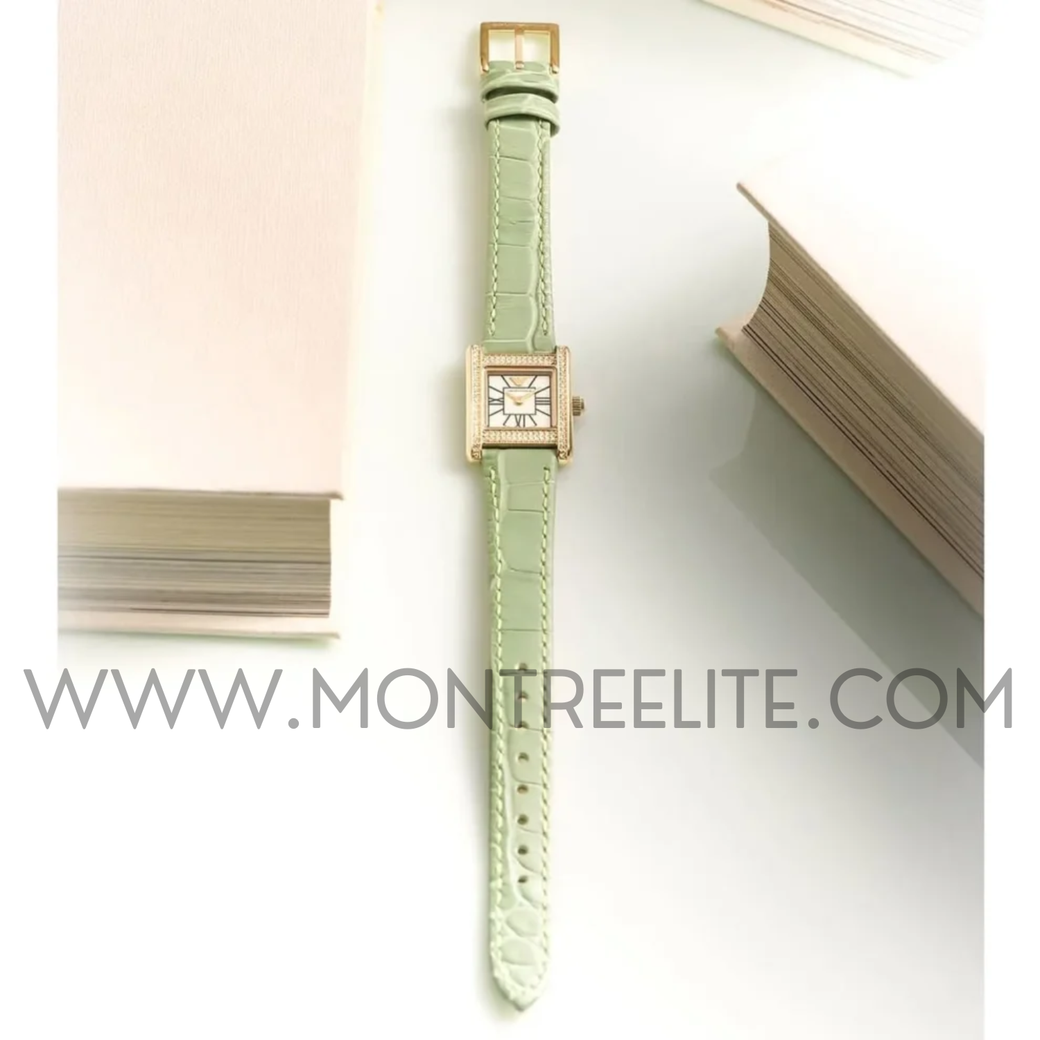 Montre Femme EMPORIO ARMANI Ganni AR11661