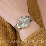 Montre Tommy Hilfiger pour femme 1781864