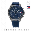 Montre Tommy Hilfiger TH1791721
